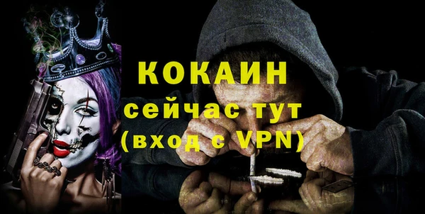 мяу мяу мука Бородино