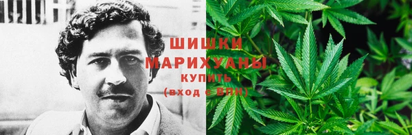 шишки Чита