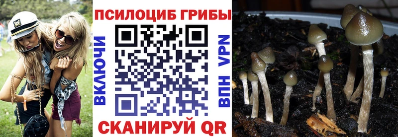 Псилоцибиновые грибы мицелий  Мегион 